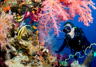 Eilat Scuba