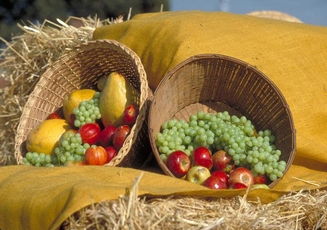 Kibbutz-VegBasket