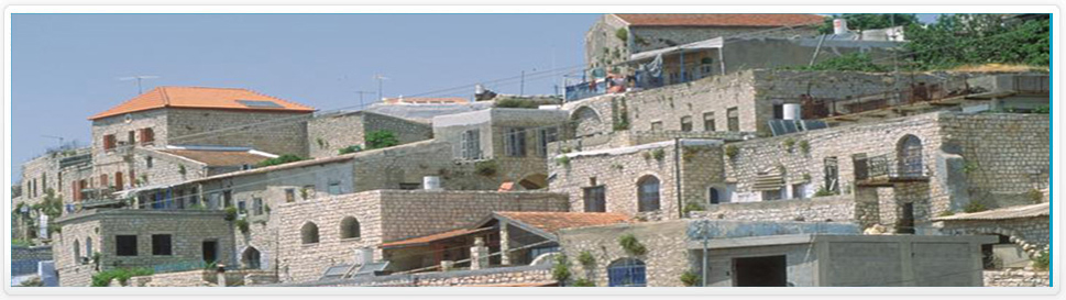 Safed Banner