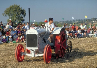 Kibbutz-Harvest