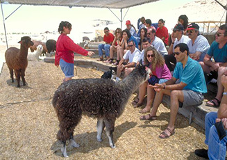 Beersheba Farm